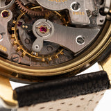 هوير كرونوغراف كاريرا كرونوغراف 1960s