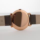 Iwc 18k Pinna di squalo 1963