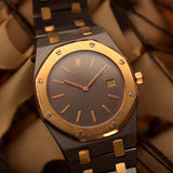 Audemars Piguet 56175TR Royal Oak Tantalum 1980s