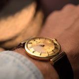 Omega Constellation 168005 Pie Pan 18k Hooded 1964