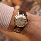 Omega Constellation 168010 Vintage Uhr mit Datumsanzeige Vintage Uhr 1966, Gehäuse aus 18 Karat Gold, silbernes Zifferblatt mit gebürsteter Oberfläche, Automatikwerk, am Handgelenk vor unscharfem Hintergrund