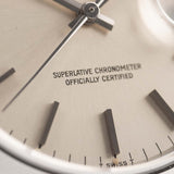 Rolex Datejust 17000 Oysterquartz Silver 1982