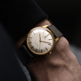 Omega Seamaster Automatico 1967