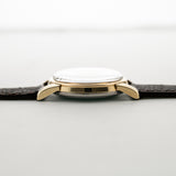 Omega Seamaster Leopard Patina 1956