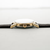 Omega Seamaster Leopard Patina 1956