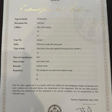 百達翡麗 3738 Ellipse Jumbo 1977