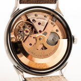 Omega 星座鍋 1966